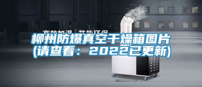 柳州防爆真空干燥箱图片(请查看：2022已更新)
