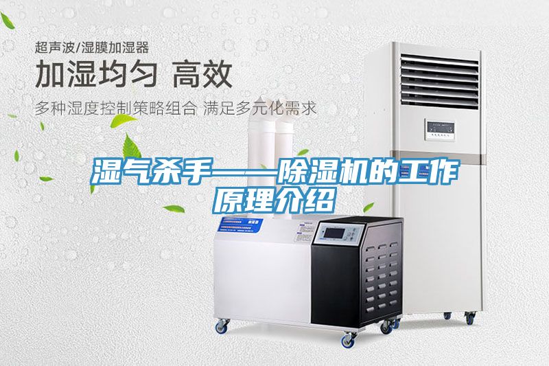 湿气杀手——小黄片直播视频的工作原理介绍