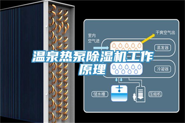 温泉热泵小黄片直播视频工作原理