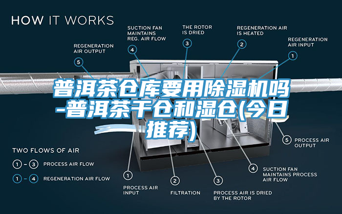 普洱茶仓库要用小黄片直播视频吗-普洱茶干仓和湿仓(今日推荐)
