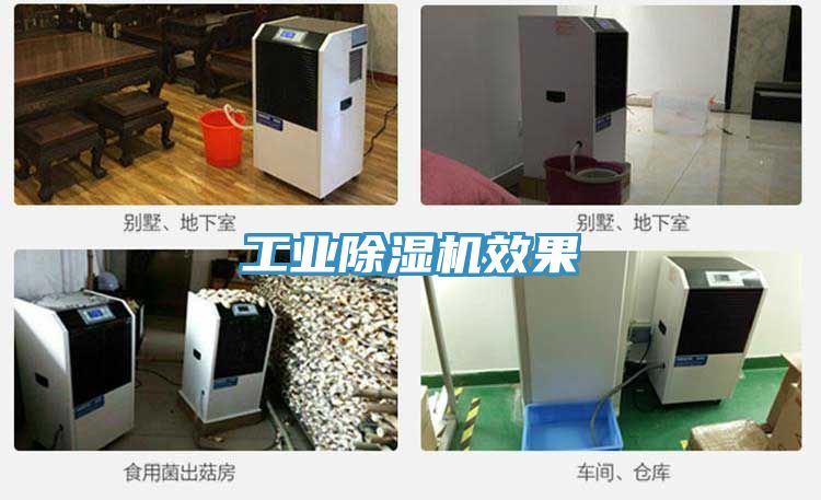 工业小黄片直播视频效果