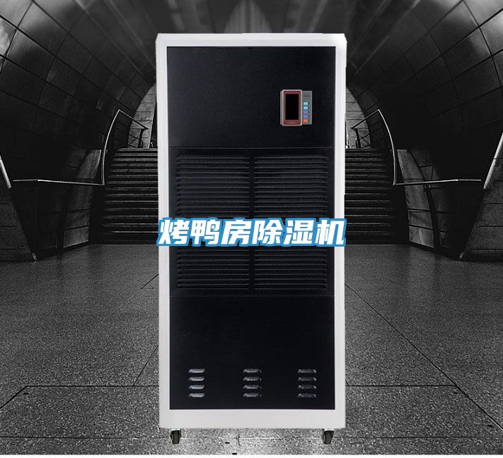 烤鸭房小黄片直播视频