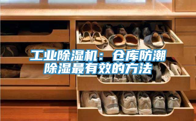 工业小黄片直播视频：仓库防潮除湿最有效的方法