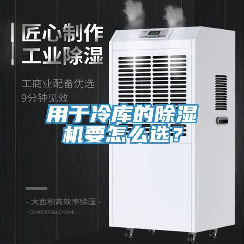 用于冷库的小黄片直播视频要怎么选？