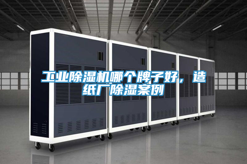 工业小黄片直播视频哪个牌子好，造纸厂除湿案例