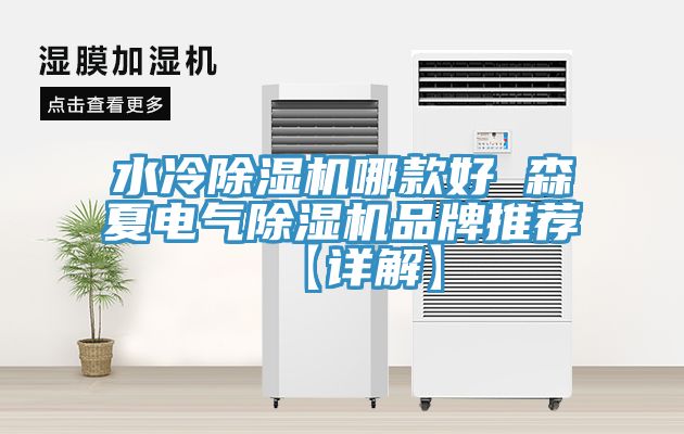 水冷小黄片直播视频哪款好 森夏电气小黄片直播视频品牌推荐【详解】