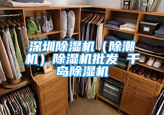 深圳小黄片直播视频（除潮机）小黄片直播视频批发 千岛小黄片直播视频