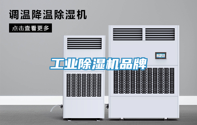 工业小黄片直播视频品牌