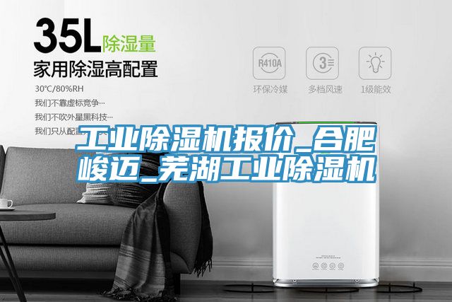 工业小黄片直播视频报价_合肥峻迈_芜湖工业小黄片直播视频