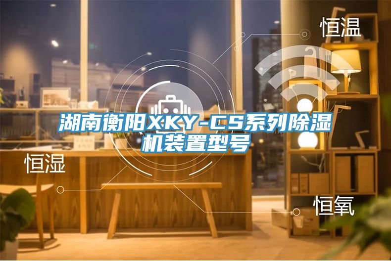 湖南衡阳XKY-CS系列小黄片直播视频装置型号