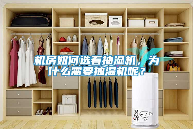 机房如何选着抽湿机，为什么需要抽湿机呢？