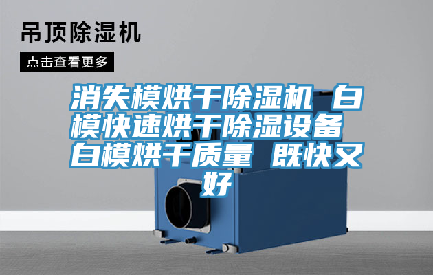消失模烘干小黄片直播视频 白模快速烘干除湿设备 白模烘干质量 既快又好