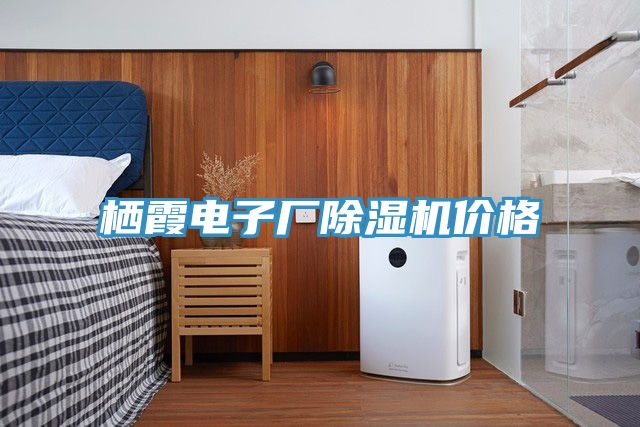 栖霞电子厂小黄片直播视频价格