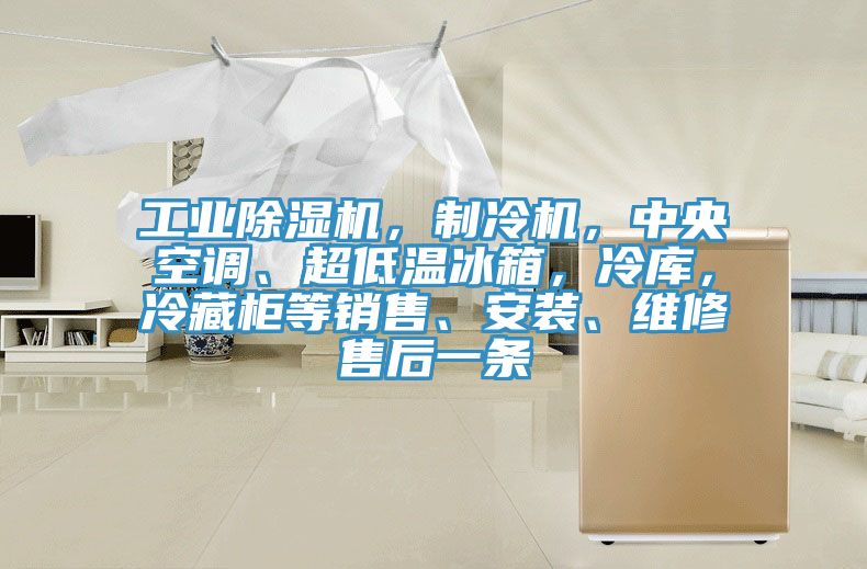 工业小黄片直播视频，制冷机，中央空调、超低温冰箱，冷库，冷藏柜等销售、安装、维修售后一条