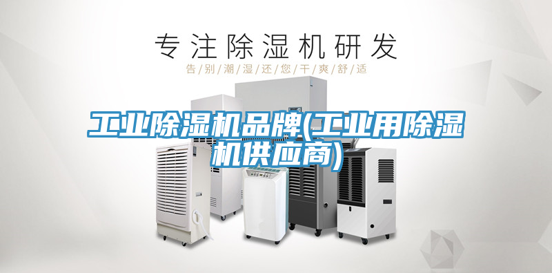 工业小黄片直播视频品牌(工业用小黄片直播视频供应商)