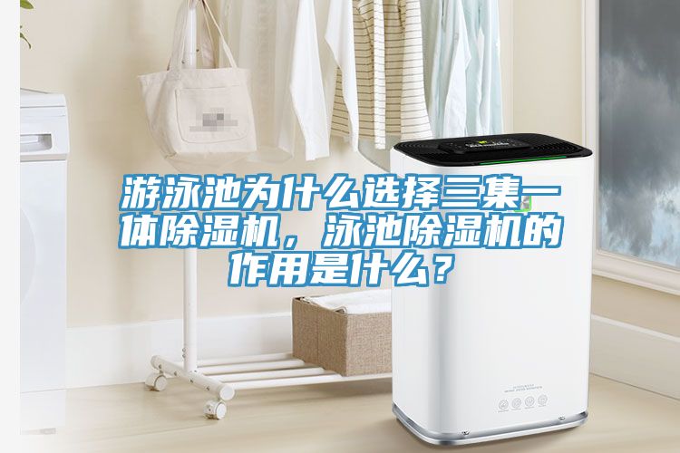 游泳池为什么选择三集一体小黄片直播视频，泳池小黄片直播视频的作用是什么？