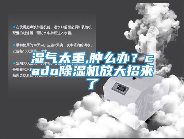 湿气太重,肿么办？cado小黄片直播视频放大招来了