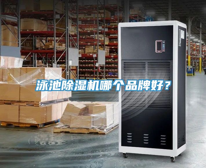 泳池小黄片直播视频哪个品牌好？