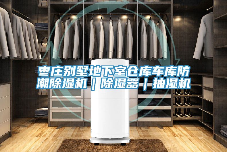 枣庄别墅地下室仓库车库防潮小黄片直播视频｜除湿器｜抽湿机