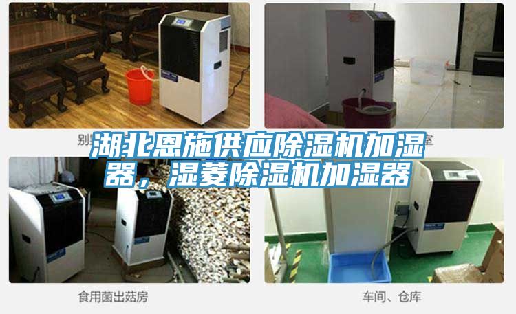 湖北恩施供应小黄片直播视频加湿器，湿菱小黄片直播视频加湿器