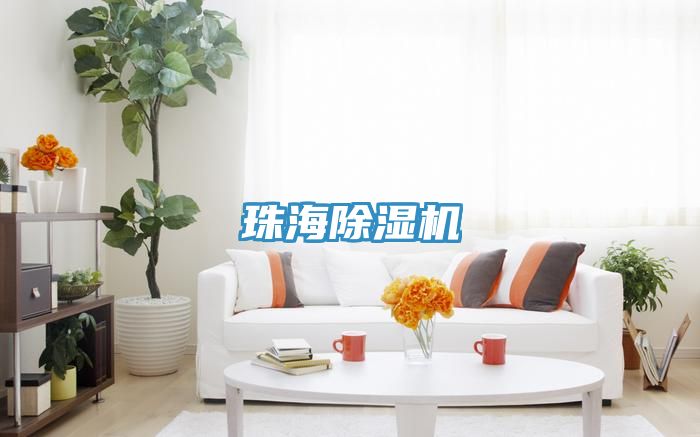 珠海小黄片直播视频