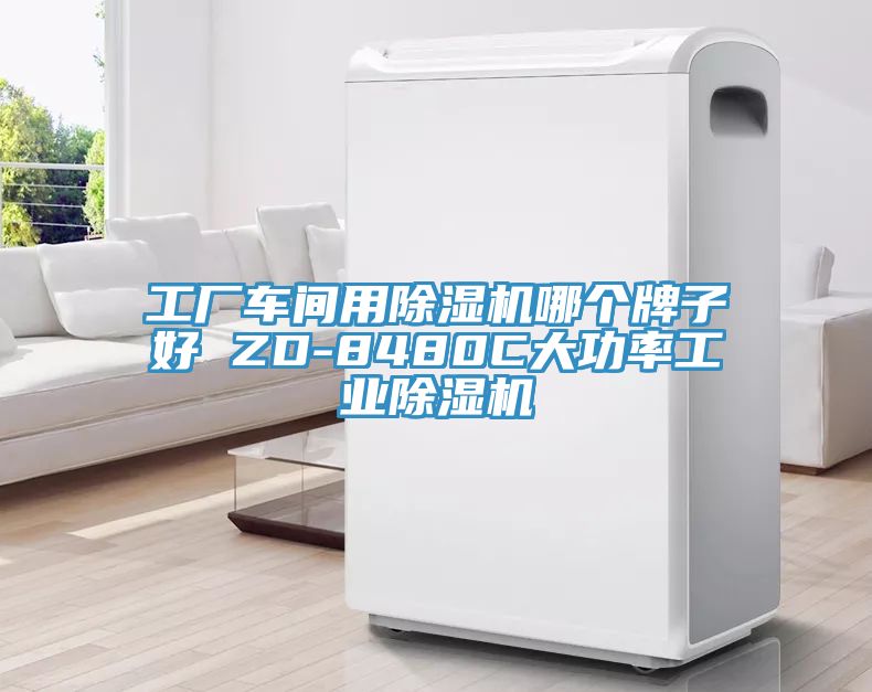 工厂车间用小黄片直播视频哪个牌子好 ZD-8480C大功率工业小黄片直播视频