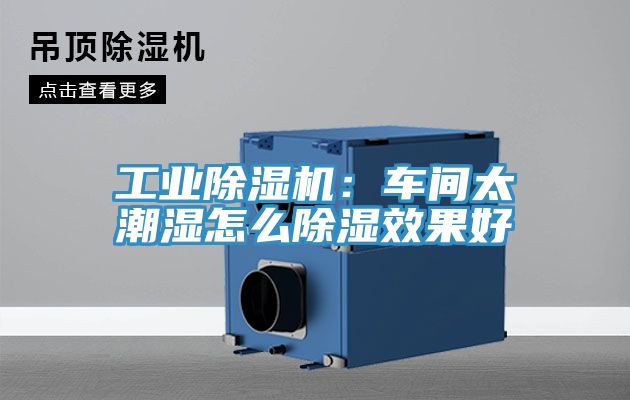 工业小黄片直播视频：车间太潮湿怎么除湿效果好