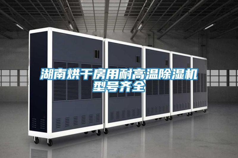 湖南烘干房用耐高温小黄片直播视频型号齐全