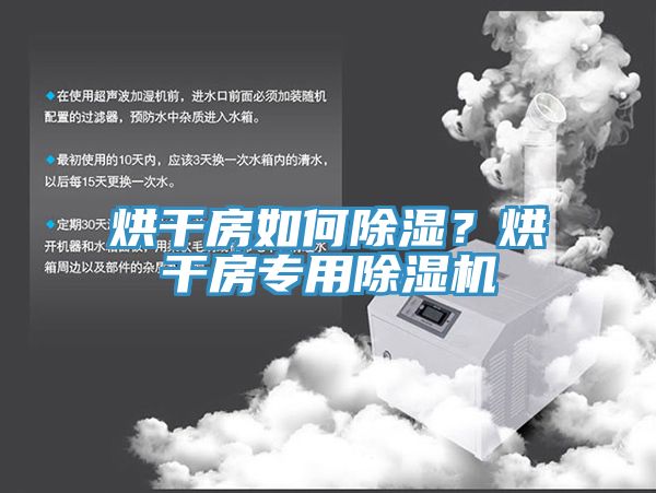 烘干房如何除湿？烘干房专用小黄片直播视频