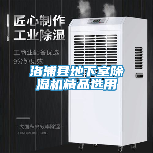 洛浦县地下室小黄片直播视频精品选用