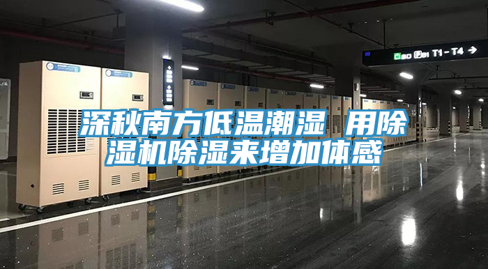 深秋南方低温潮湿 用小黄片直播视频除湿来增加体感
