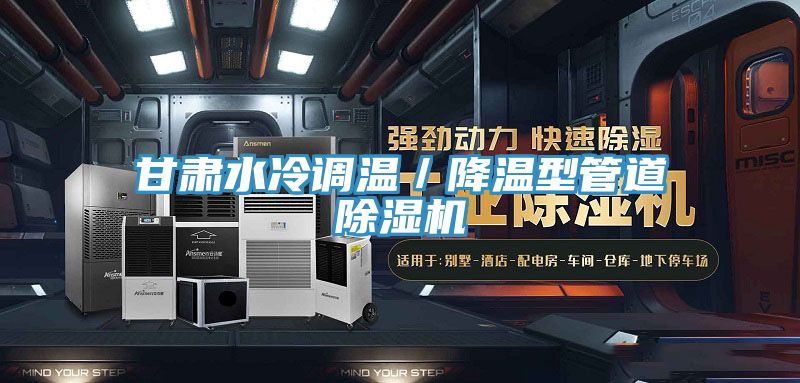 甘肃水冷调温／降温型管道小黄片直播视频
