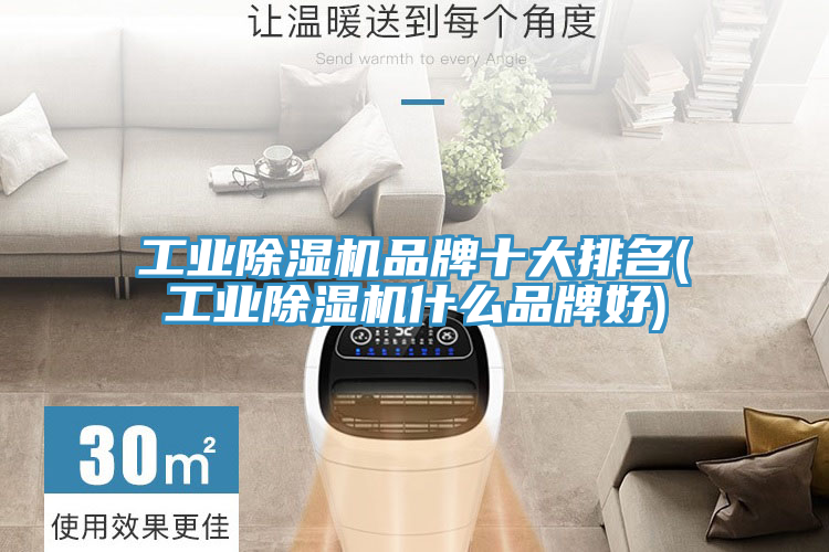 工业小黄片直播视频品牌十大排名(工业小黄片直播视频什么品牌好)