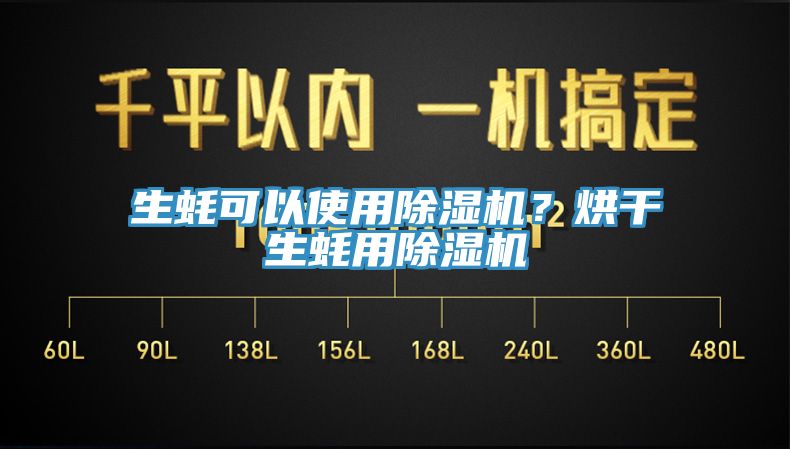 生蚝可以使用小黄片直播视频？烘干生蚝用小黄片直播视频