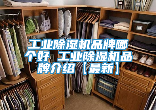 工业小黄片直播视频品牌哪个好 工业小黄片直播视频品牌介绍【最新】