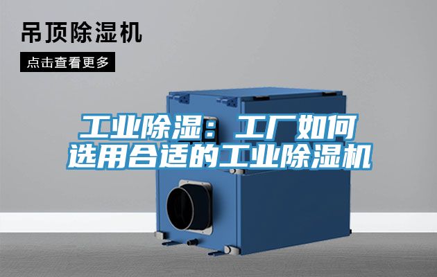 工业除湿：工厂如何选用合适的工业小黄片直播视频