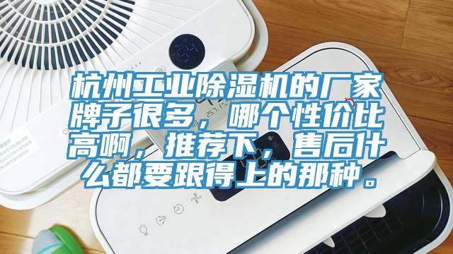 杭州工业小黄片直播视频的厂家牌子很多，哪个性价比高啊，推荐下，售后什么都要跟得上的那种。