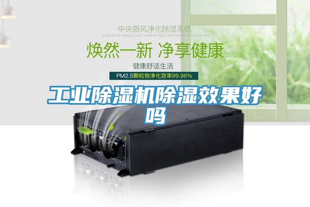 工业小黄片直播视频除湿效果好吗