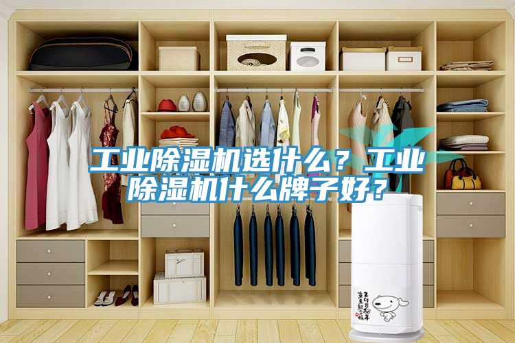 工业小黄片直播视频选什么？工业小黄片直播视频什么牌子好？