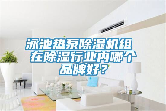 泳池热泵小黄片直播视频组 在除湿行业内哪个品牌好？