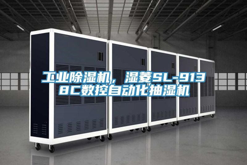 工业小黄片直播视频，湿菱SL-9138C数控自动化抽湿机