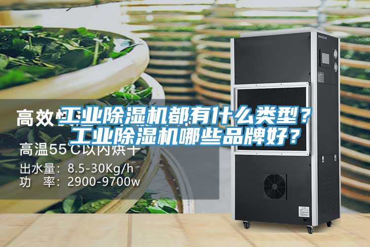 工业小黄片直播视频都有什么类型？工业小黄片直播视频哪些品牌好？