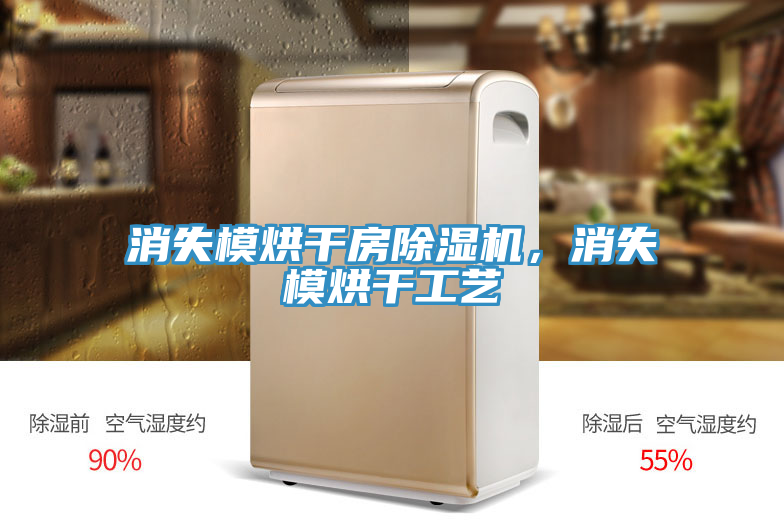 消失模烘干房小黄片直播视频，消失模烘干工艺
