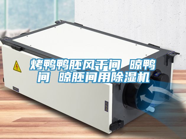 烤鸭鸭胚风干间 晾鸭间 晾胚间用小黄片直播视频