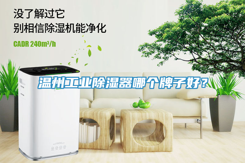 温州工业除湿器哪个牌子好？