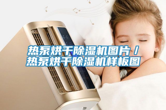 热泵烘干小黄片直播视频图片／热泵烘干小黄片直播视频样板图