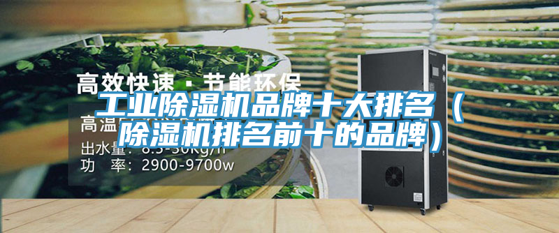 工业小黄片直播视频品牌十大排名（小黄片直播视频排名前十的品牌）