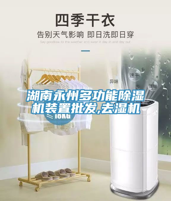 湖南永州多功能小黄片直播视频装置批发,去湿机
