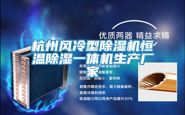 杭州风冷型小黄片直播视频恒温除湿一体机生产厂家