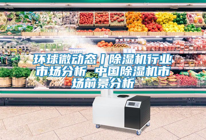环球微动态丨小黄片直播视频行业市场分析 中国小黄片直播视频市场前景分析